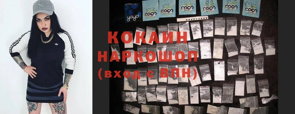 крисы Бородино
