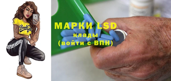 крисы Бородино