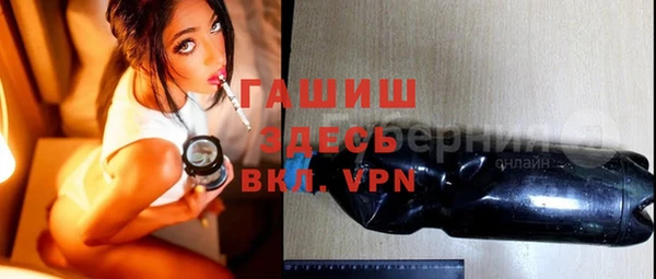 крисы Бородино
