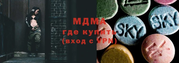 крисы Бородино