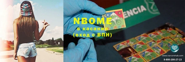 крисы Бородино