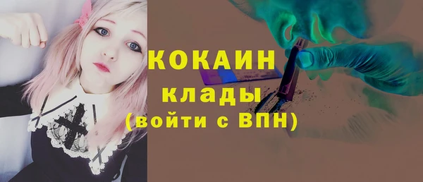 крисы Бородино