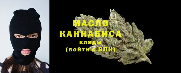 крисы Бородино