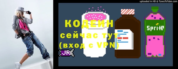 крисы Бородино
