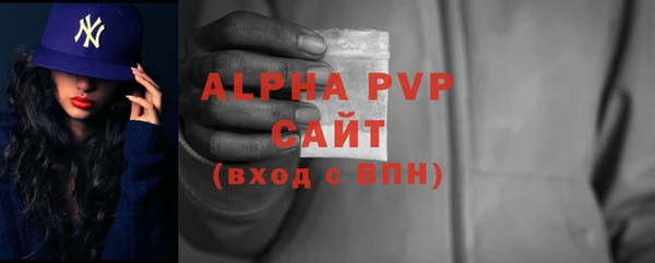 крисы Бородино
