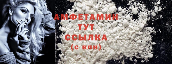 крисы Бородино