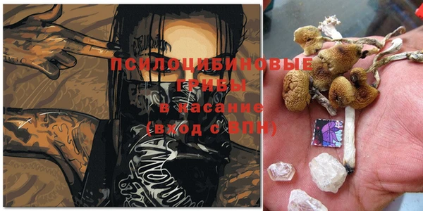 герыч Бронницы