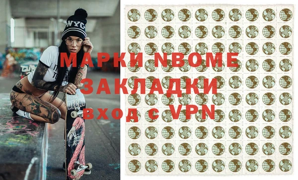 крисы Бородино