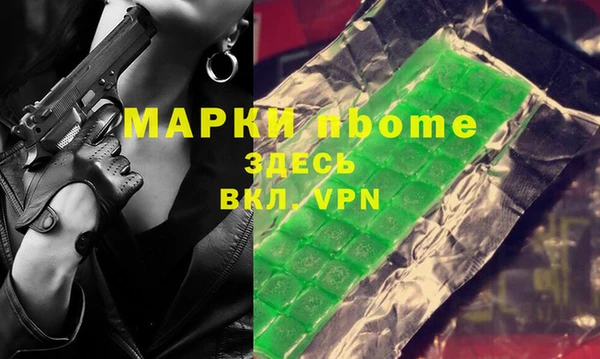 крисы Бородино