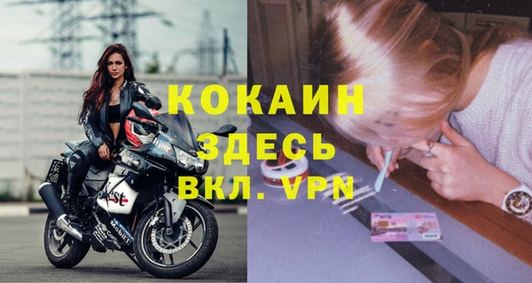 крисы Бородино