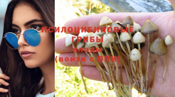 герыч Бронницы