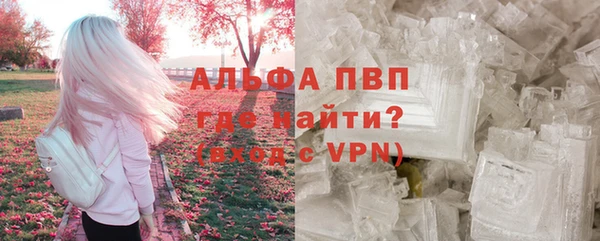 крисы Бородино