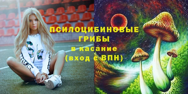 герыч Бронницы