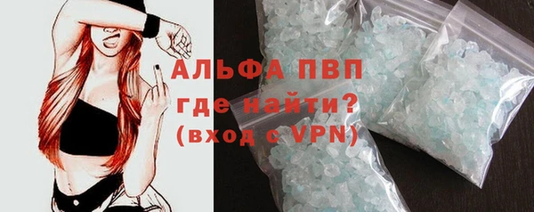 крисы Бородино